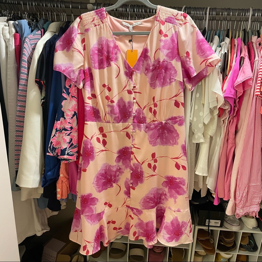 NWT Collective Concepts Pink and Violet Ruffle Button Dress